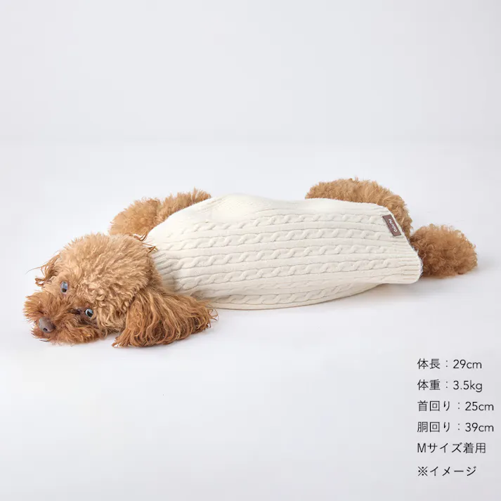 【送料無料】縫い目のない優しいニット アイボリー SDサイズ ペット服(犬の服)(販売終了)