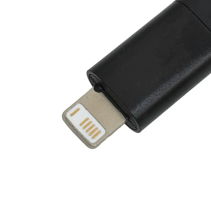 カインズ かさばらない平型ケーブル マグネットタイプ Type-A to 互換Lightning用 1m ブラック