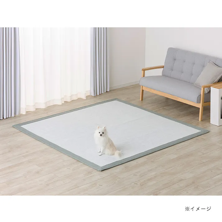 &Pet 洗えるラグ グリーン 幅185cm 奥行185cm