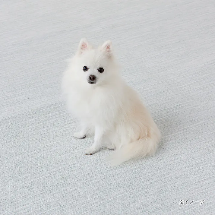 &Pet 洗えるラグ グリーン 幅190cm 奥行240cm