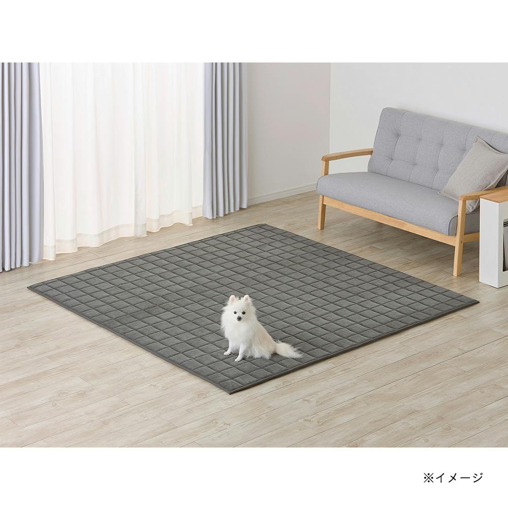 ＆Pet 洗えるクッションラグ Pitapa ブラック 幅190cm 奥行240cm