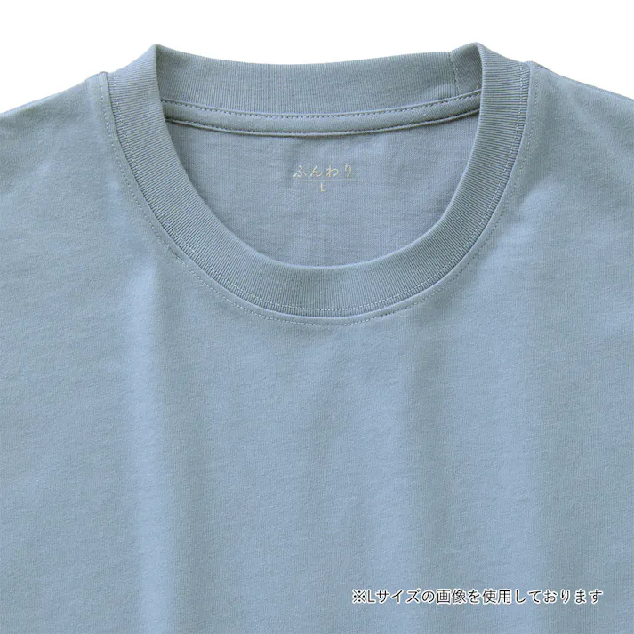 やさしい肌触りの綿100%Tシャツ ブルー LL