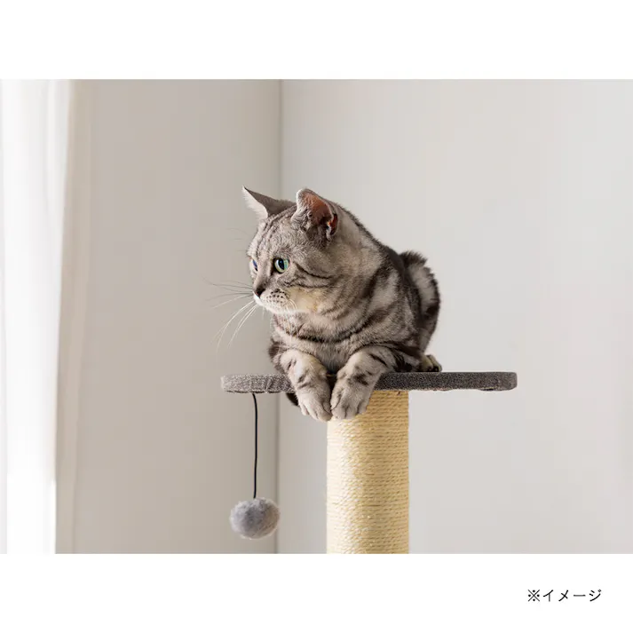 キャットインテリアタワースマート グレー T60