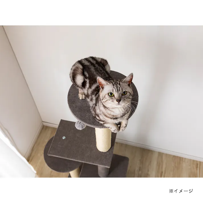 キャットインテリアタワースマート グレー T60
