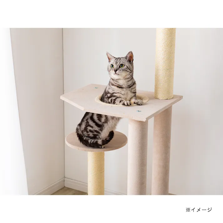 キャットインテリアタワースマート ベージュ T61