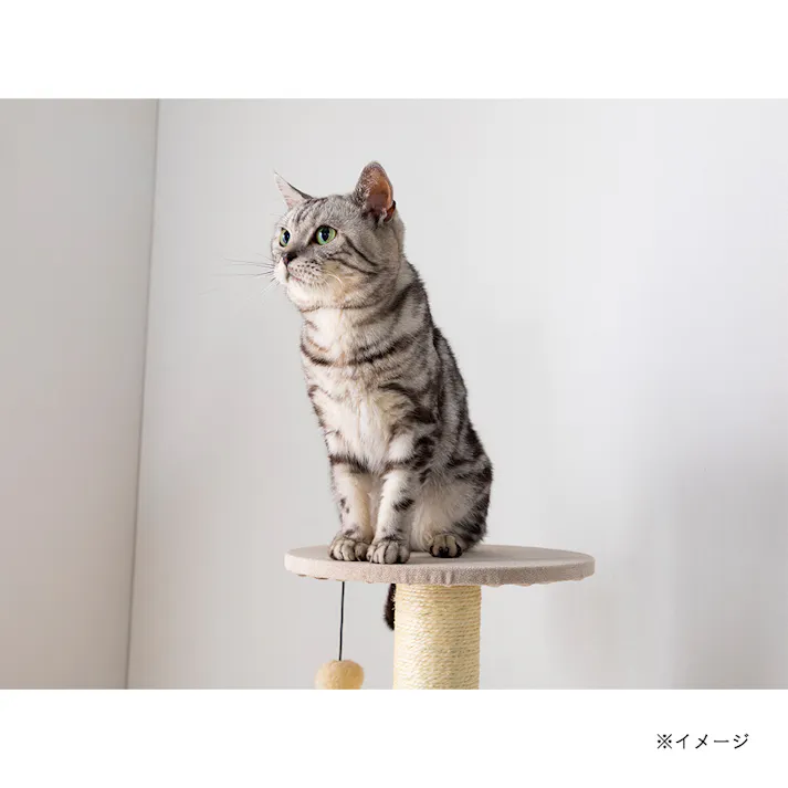 キャットインテリアタワースマート ベージュ T61