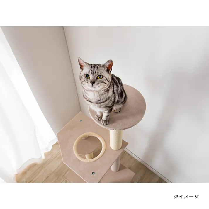 キャットインテリアタワースマート ベージュ T61