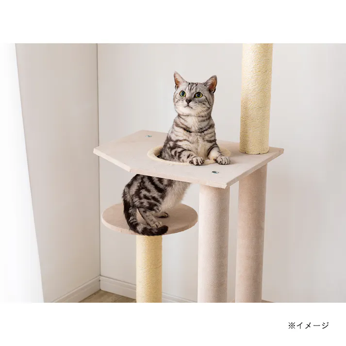 キャットインテリアタワースマート ベージュ T61