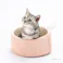 猫丸型ベッド ピンク