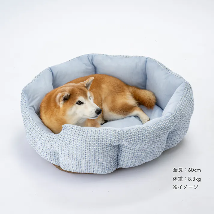 ひんやり丸型ベッド ジャンボ ライトブルー