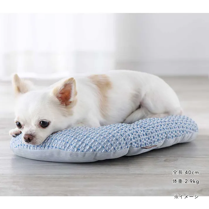 ひんやりクッション Mサイズ ライトブルー