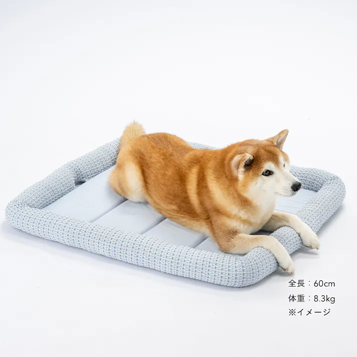 ひんやりクッションマット Lサイズ ライトブルー