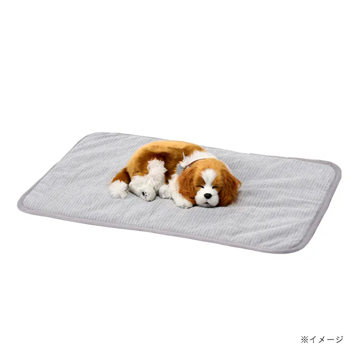 ひんやりペット敷パット Sサイズ グレー