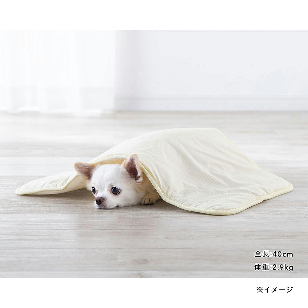 もっとひんやりブランケット Sサイズ レモンイエロー | ペットベッド