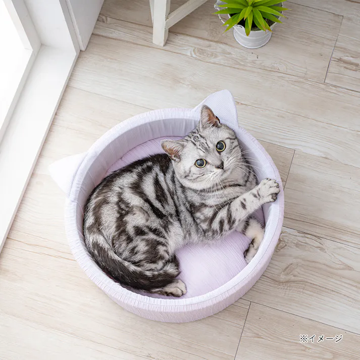 もっとひんやり猫丸型ベッド ジャンボ ペールパープ