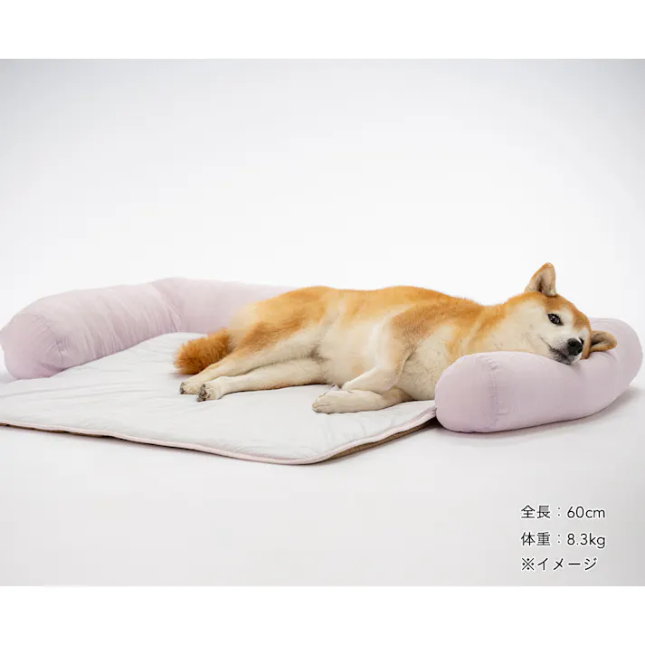 もっとひんやりごろ寝マット ジャンボ ペールパープル