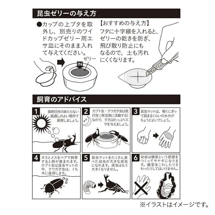 昆虫用 3種のフルーツゼリー 100個入