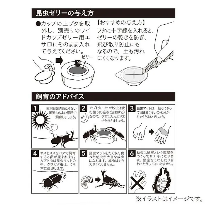 昆虫用 消臭黒糖ゼリー 20個入