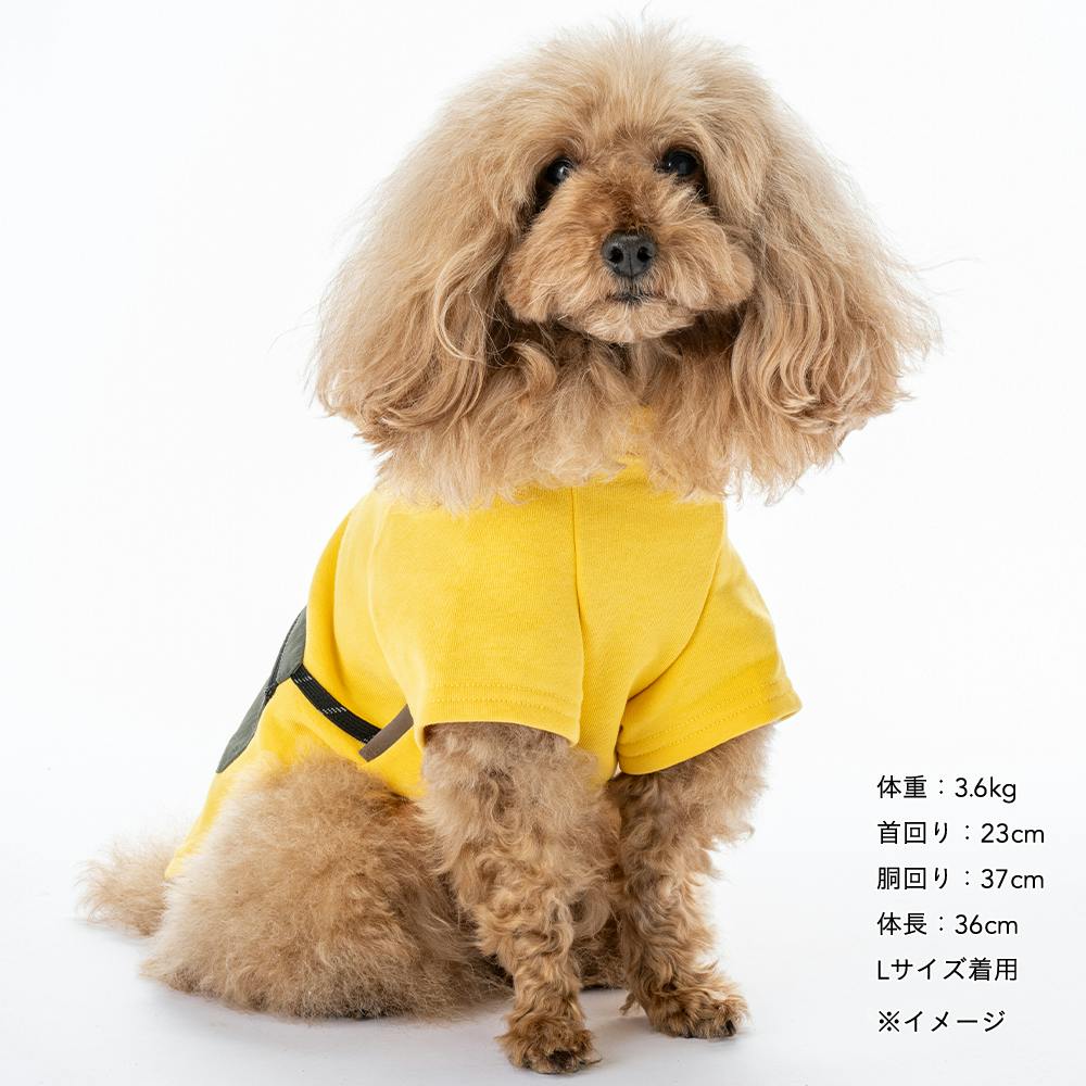 いっぬ様 シングルワンホール洗面混合栓 | 商品のご案内 | SANEI｜デザイン性に
