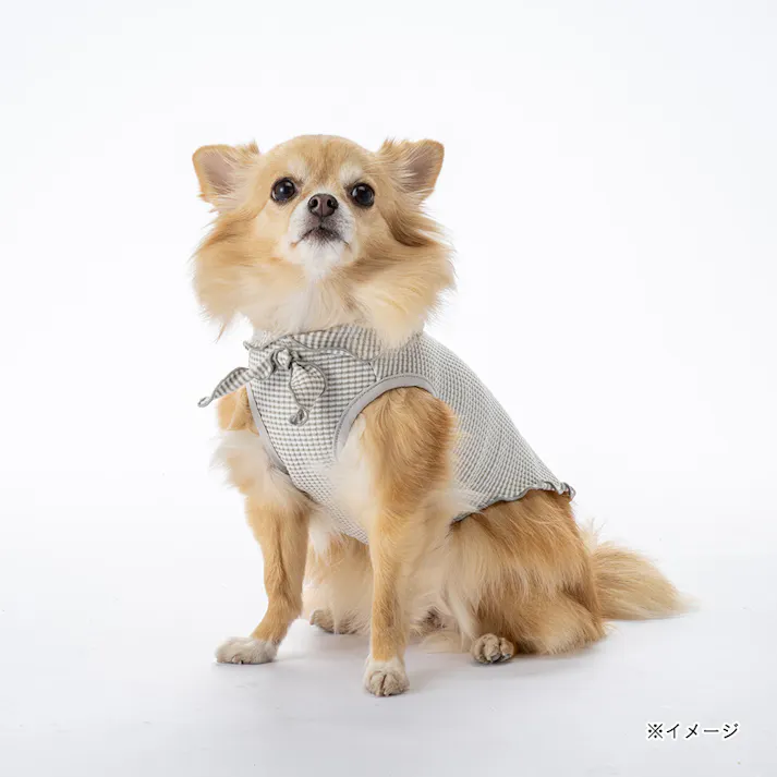 【送料無料】襟付きボーダータンクトップ SDサイズ グレー ペット服(犬の服)
