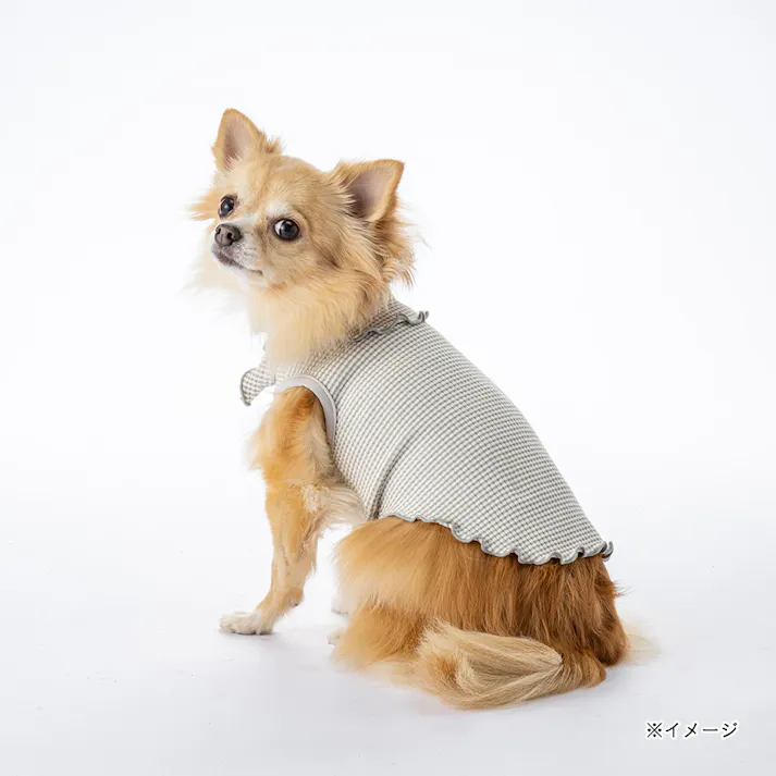【送料無料】襟付きボーダータンクトップ SDサイズ グレー ペット服(犬の服)