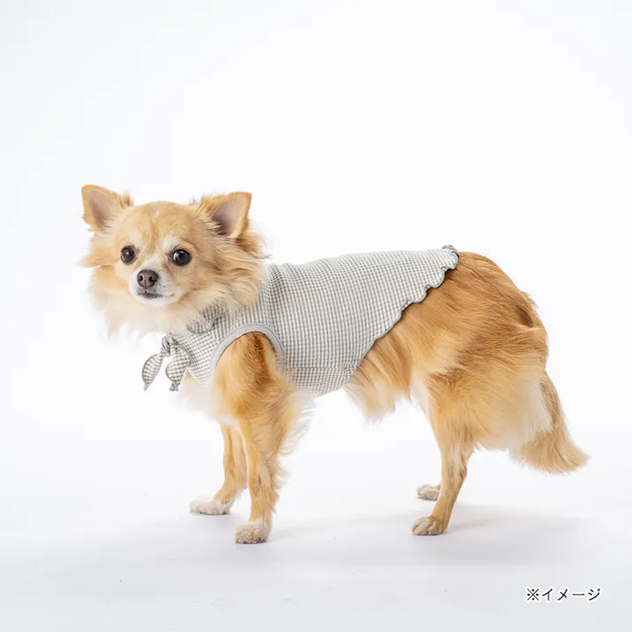 【送料無料】襟付きボーダータンクトップ SDサイズ グレー ペット服(犬の服)