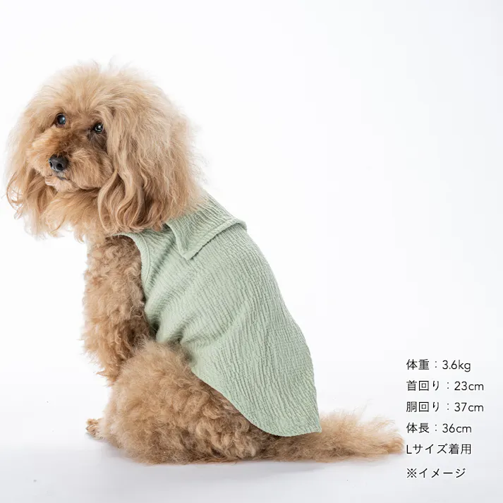 【送料無料】襟付きタンクトップ Sサイズ ピスタチオグリーン ペット服(犬の服)