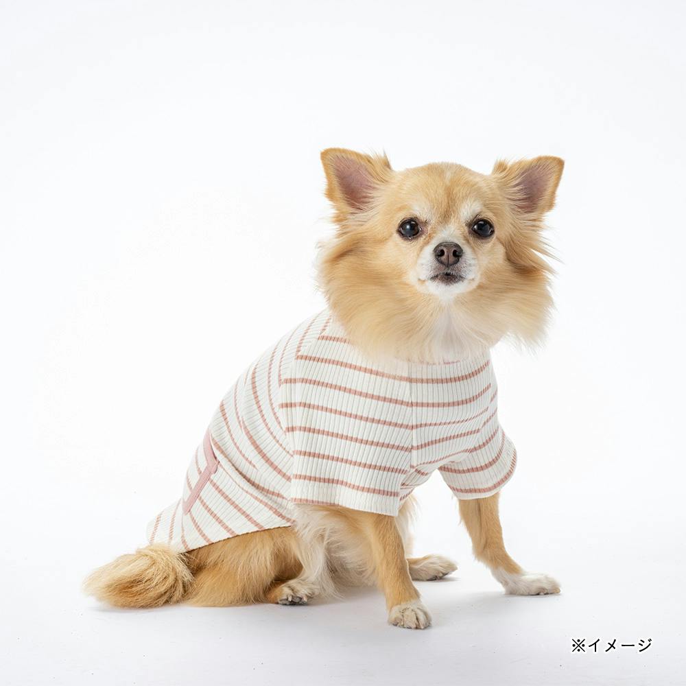 送料無料】ボーダーリブカットソー SSサイズ ピンク ペット服(犬の服