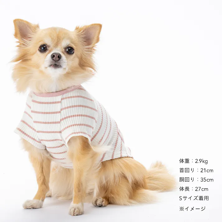 【送料無料】ボーダーリブカットソー Lサイズ ピンク ペット服(犬の服)
