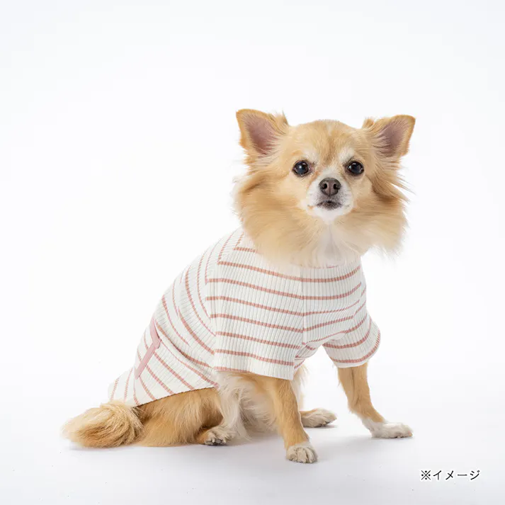 【送料無料】ボーダーリブカットソー MDサイズ ピンク ペット服(犬の服)