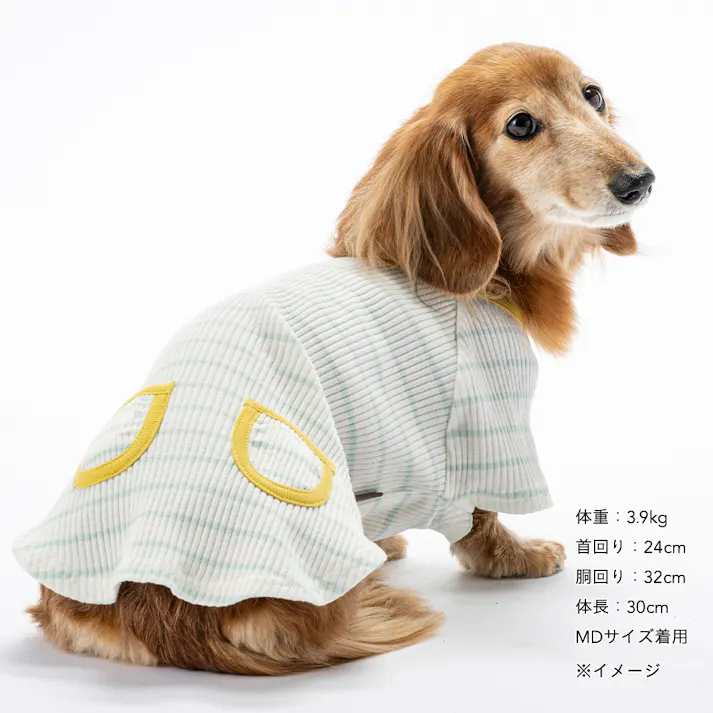 【送料無料】ボーダーリブカットソー MDサイズ ライトブルー ペット服(犬の服)