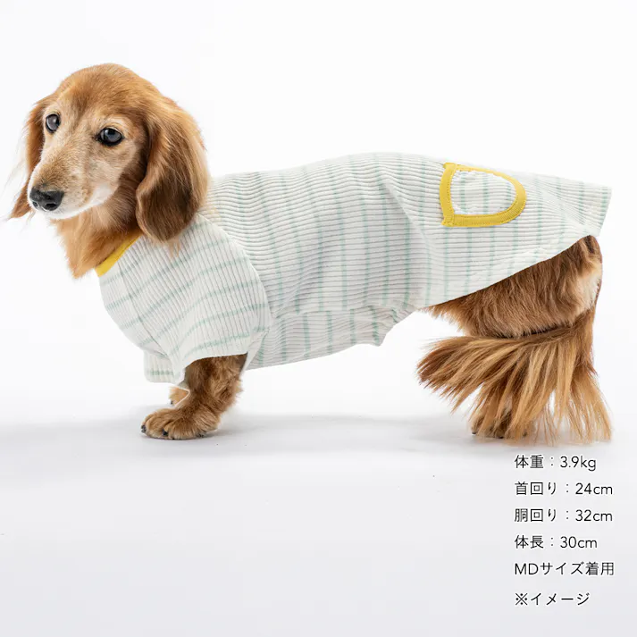 【送料無料】ボーダーリブカットソー MDサイズ ライトブルー ペット服(犬の服)