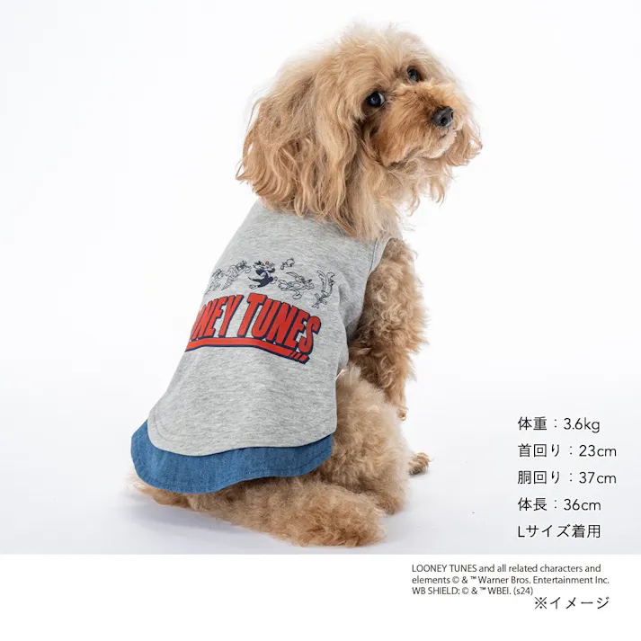 【送料無料】ロゴタンクトップ ルーニー・テューンズ Mサイズ ペット服(犬の服)