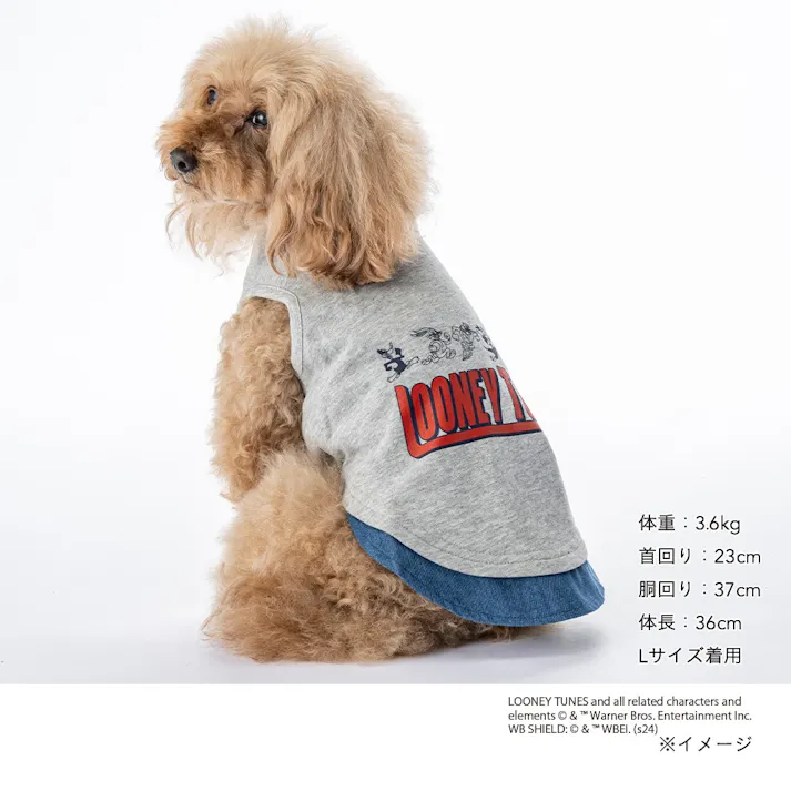 【送料無料】ロゴタンクトップ ルーニー・テューンズ Mサイズ ペット服(犬の服)