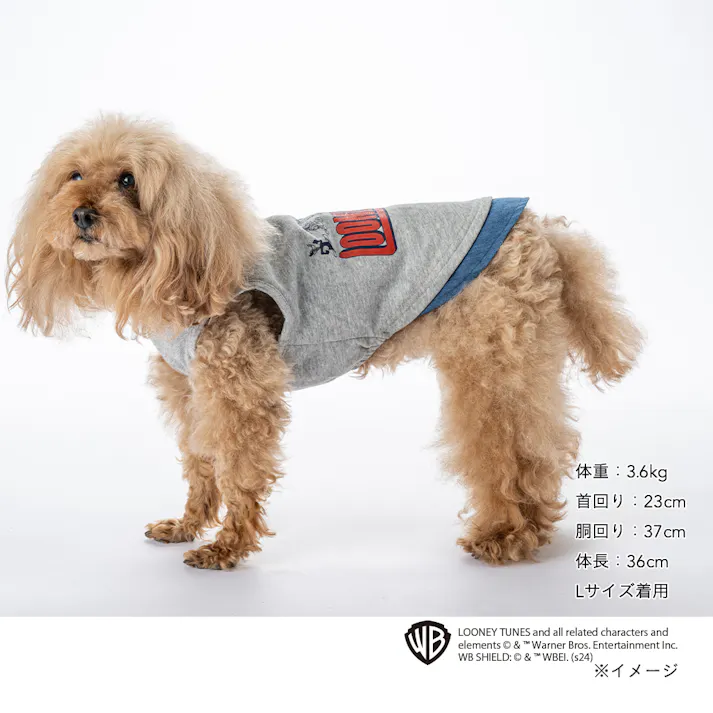 【送料無料】ロゴタンクトップ ルーニー・テューンズ Mサイズ ペット服(犬の服)