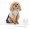 【送料無料】ドッキングオーバーオール トムとジェリー Sサイズ ペット服(犬の服)
