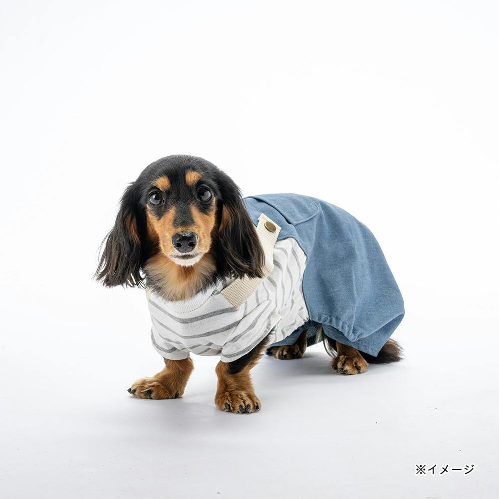 送料無料】ドッキングオーバーオール ブルー Sサイズ ペット服(犬の服