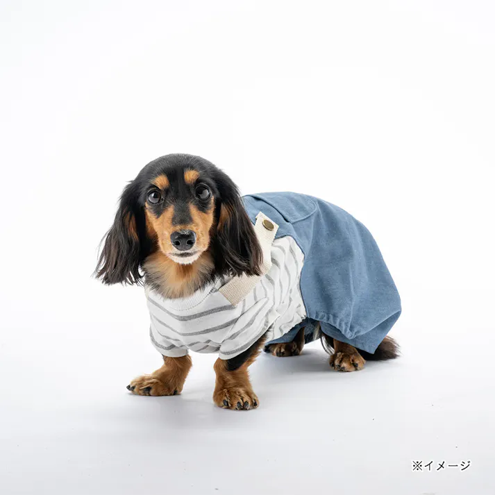 【送料無料】ドッキングオーバーオール ブルー Mサイズ ペット服(犬の服)