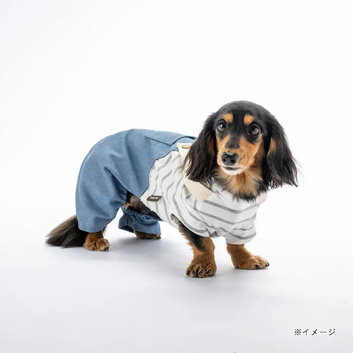 【送料無料】ドッキングオーバーオール ブルー Mサイズ ペット服(犬の服)
