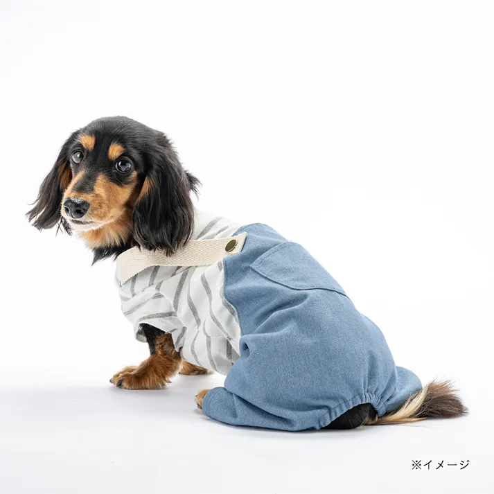 【送料無料】ドッキングオーバーオール ブルー Mサイズ ペット服(犬の服)