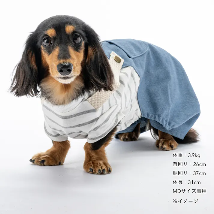 【送料無料】ドッキングオーバーオール ブルー MDサイズ ペット服(犬の服)