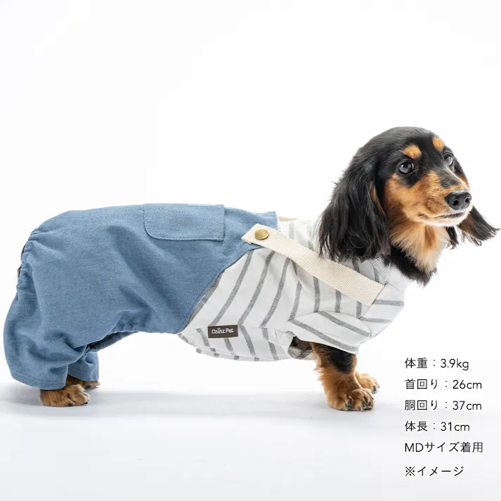 【送料無料】ドッキングオーバーオール ブルー MDサイズ ペット服(犬の服)