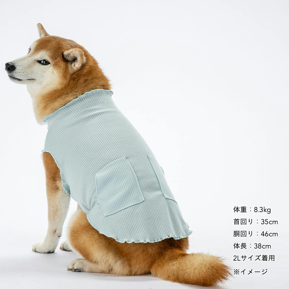 送料無料】メロウネックタンクトップ ライトブルー 2Lサイズ ペット服