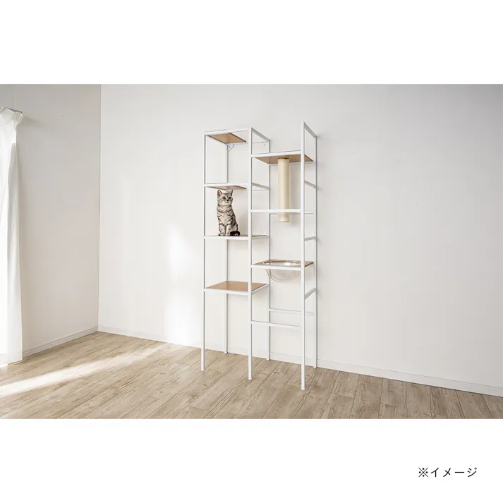 キャットインテリアシェルフ T62