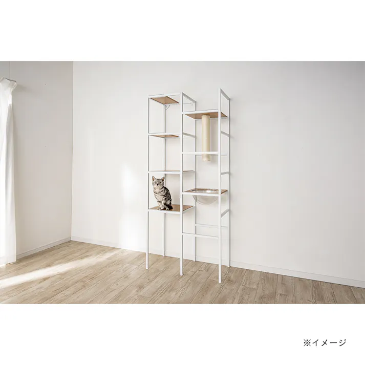 キャットインテリアシェルフ T62
