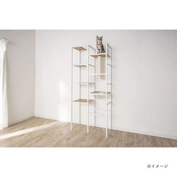 キャットインテリアシェルフ T62