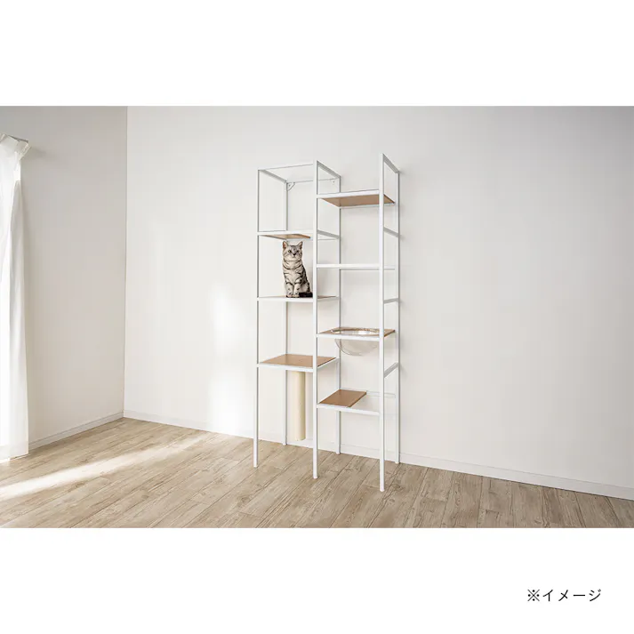 キャットインテリアシェルフ T62