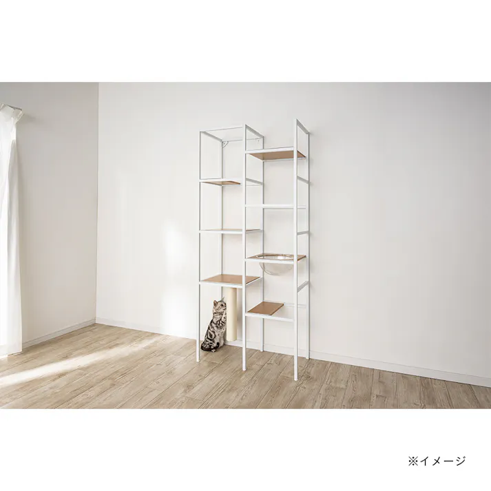 キャットインテリアシェルフ T62