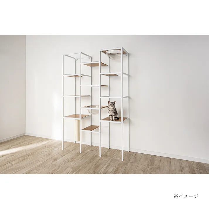 キャットインテリアシェルフ T62