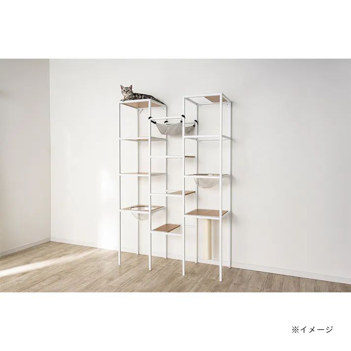 キャットインテリアシェルフ T62